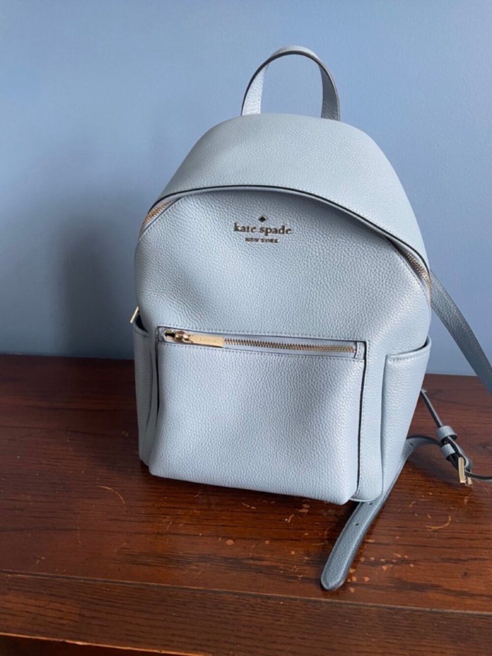 Kate Spade Leila Medium Dome Backpack NWT Blue